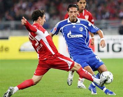 展示了强大 展示了强大